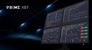 The Future of Trading Discovering the PrimeXBT Hub